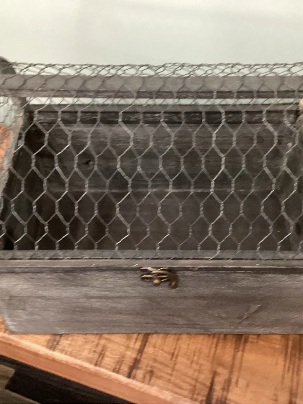 Rustic Gray Wood and Wire Display Box